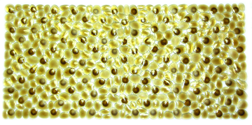 Image of Wildberry Bath Mat Small Stone