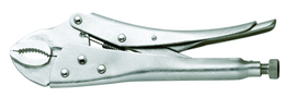 Image of Fragram Vice Grips 250mm