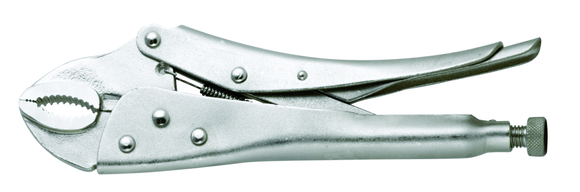 Image of Fragram Vice Grips 250mm