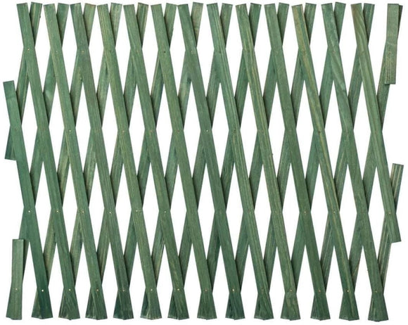 Expanding Trellis Green 600mm