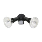 Eurolux Security Light PAR38 2 Light 150W Black - image 01