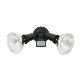 Eurolux Security Light PAR38 2 Light 150W Black - image 01