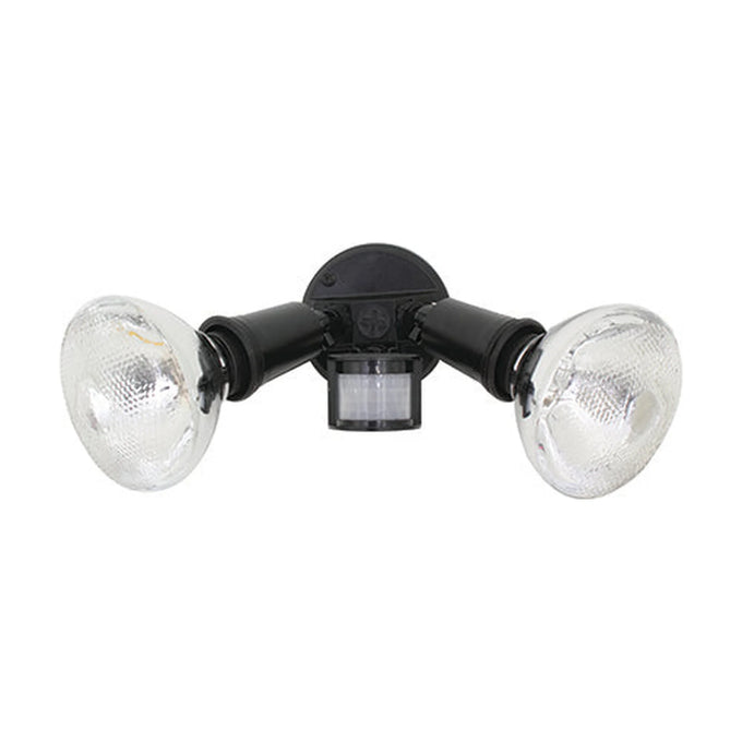 Eurolux Security Light PAR38 2 Light 150W Black - image 01