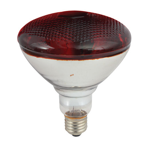 Eurolux PAR38 Reflector Infrared 175W E27 in Electrical & Lighting,Lighting,Globes & Tubes