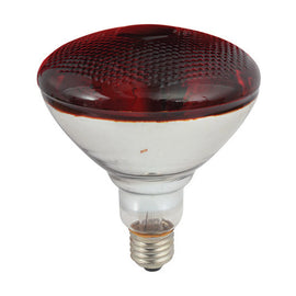 Eurolux PAR38 Reflector Infrared 175W E27 - image 01