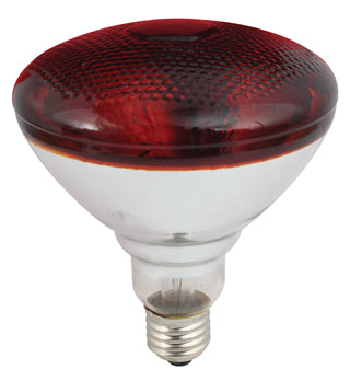 Eurolux Infrared Reflector PAR38 Infrared E27 250W in Electrical & Lighting,Lighting,Globes & Tubes