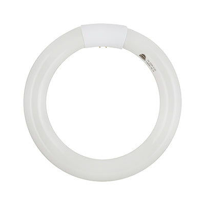 Radiant Fluorescent Circline T9 G10q 22w 4000K in Electrical & Lighting,Lighting,Globes & Tubes
