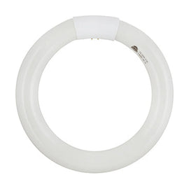 Radiant Fluorescent Circline T9 G10q 22w 4000K - image 01
