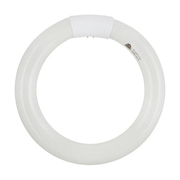 Radiant Fluorescent Circline T9 G10q 22w 4000K - image 01