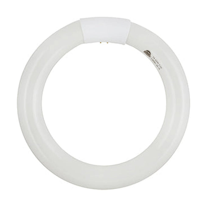 Radiant Fluorescent Circline T9 G10q 22w 4000K - image 01