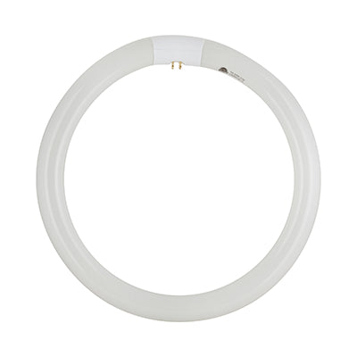 Radiant T9 Fluorescent Circline 32w G10q 4000K in Electrical & Lighting,Lighting,Globes & Tubes