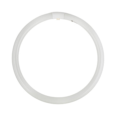 Radiant T9 Fluorescent Circline 40w G10q 4000K in Electrical & Lighting,Lighting,Globes & Tubes