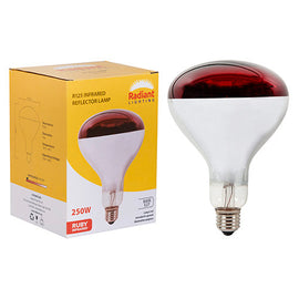 Radiant Infrared R125 E27 250W Ruby 4500h in Electrical & Lighting,Lighting,Globes & Tubes