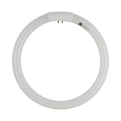 Radiant T5 Fluorescent Circline 22w G10q 4000K in Electrical & Lighting,Lighting,Globes & Tubes