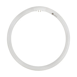 Radiant T5 Fluorescent Circline 32w G10q 4000K - image 01