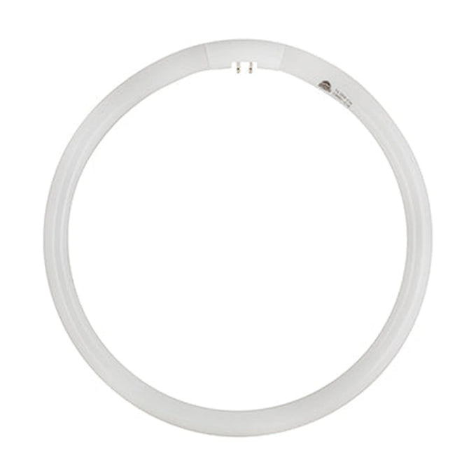 Radiant T5 Fluorescent Circline 32w G10q 4000K - image 01