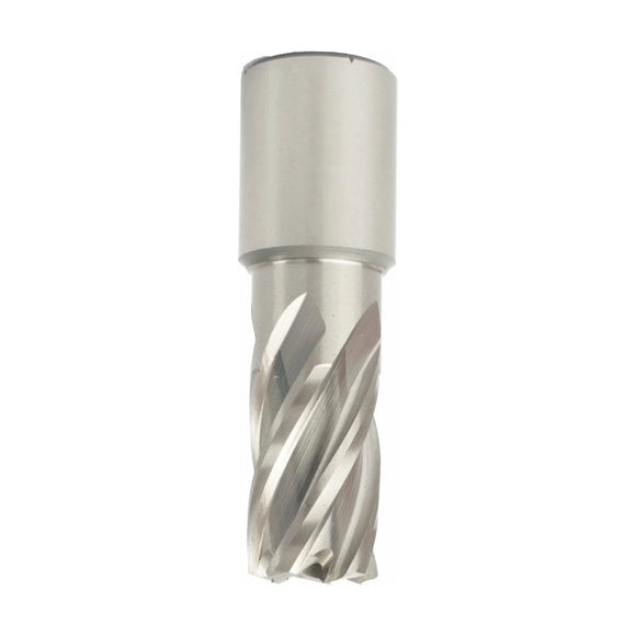 Tork Craft Annular Hole Cutter HSS 17 X 30mm Weld Shank 19.05mm - image 01