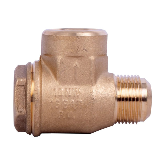 GAV Non-Return Valve 1'Female - 1'Male - image 01