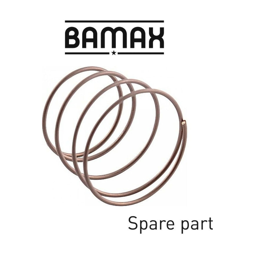 Bamax Spring for 1' Non-Return Valve - image 01
