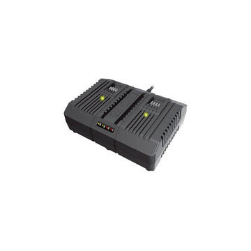 Worx Dual Port Fast 20V