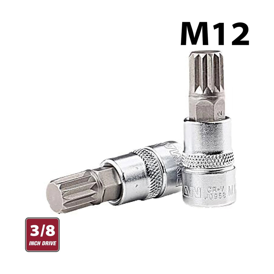 Fixman 3/8' Drive Bit Spline Socket M12 - image 01