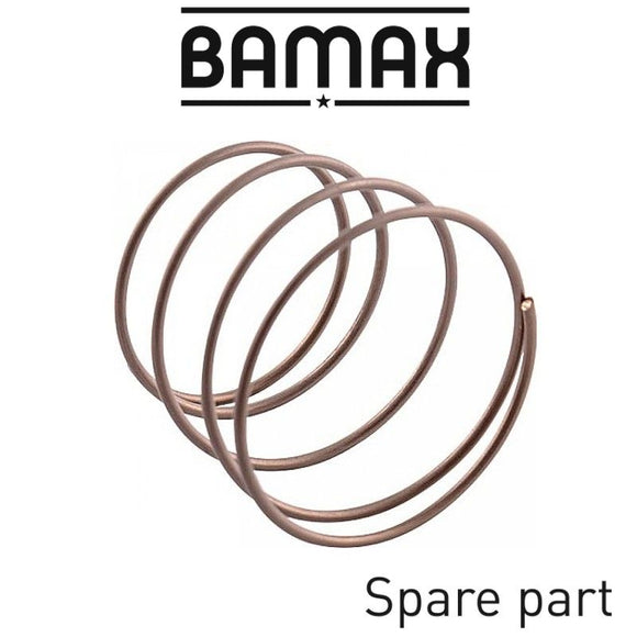 Image of a SPRING FOR 1' NON RETURN VALVE