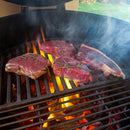 Image of a KAMADO JAN CAST Cast Iron Grid - X-LARGE 2