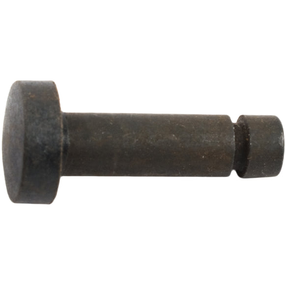 Image of a Tork Craft  Polisher Self-lock Pin For  POL04