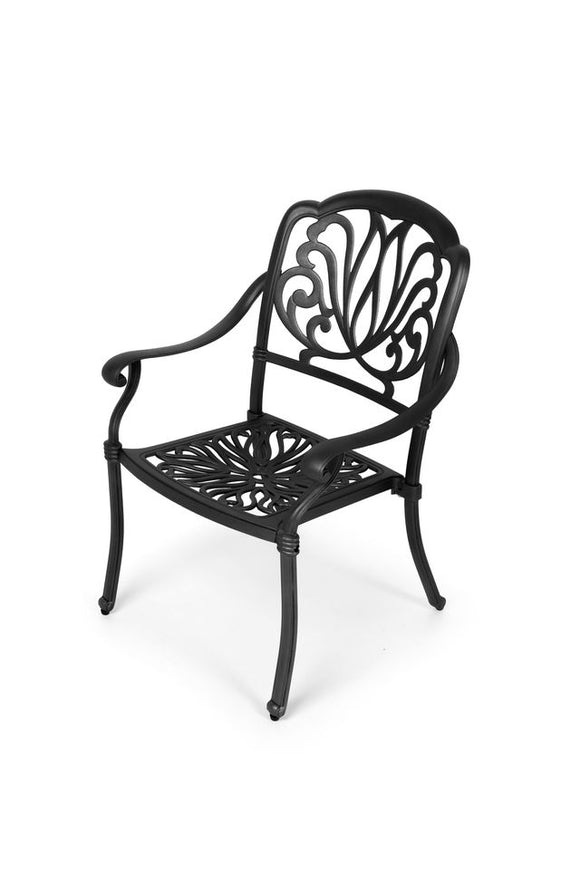 Anray Protea Aluminium Chair - Black